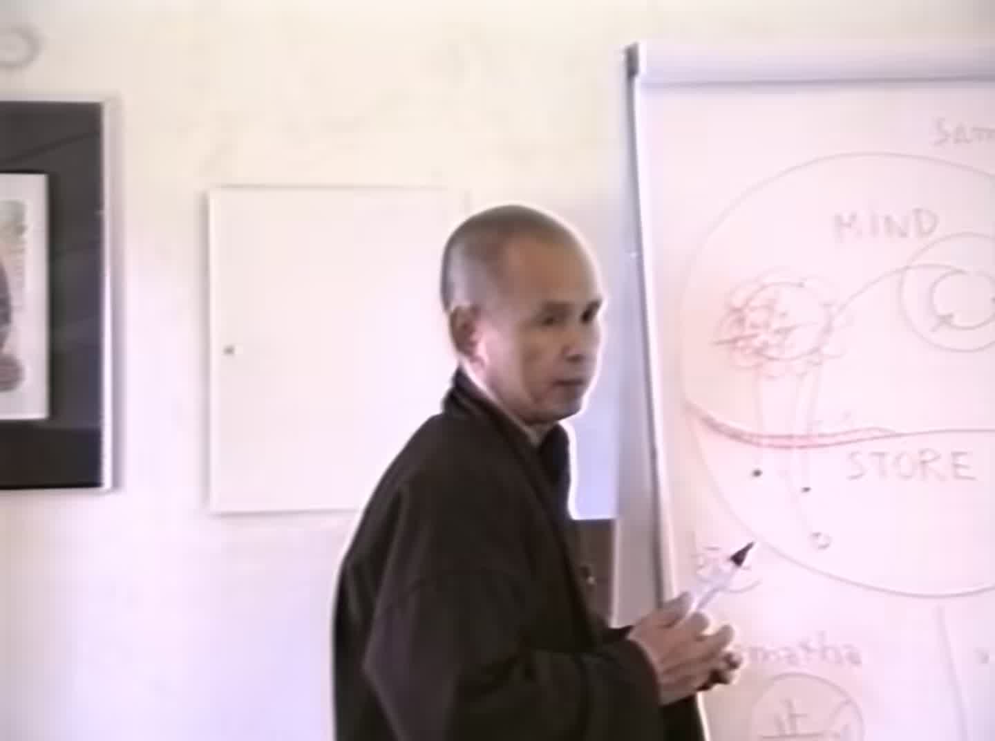 Thich Nhat Hanh 1991 | Thich Nhat Hanh | Plum Village