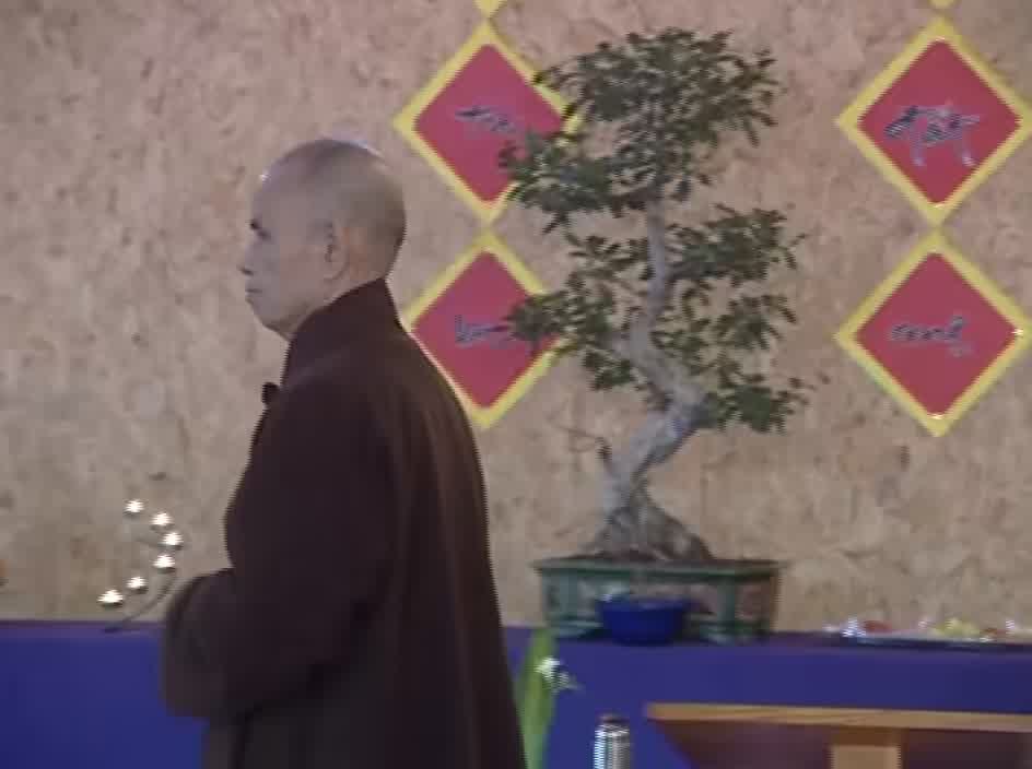 Right View is the Insight that Transcends All | Thich Nhat Hanh